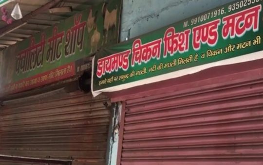 Delhi meat shops