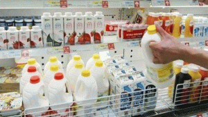 GST on Dairy Products