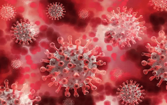 coronavirus in india
