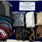 Narcotics Seized: चेन्नई हवाईअड्डे पर 10 किलो करीब मादक पदार्थ जब्त, 2 विदेशी गिरफ्तार