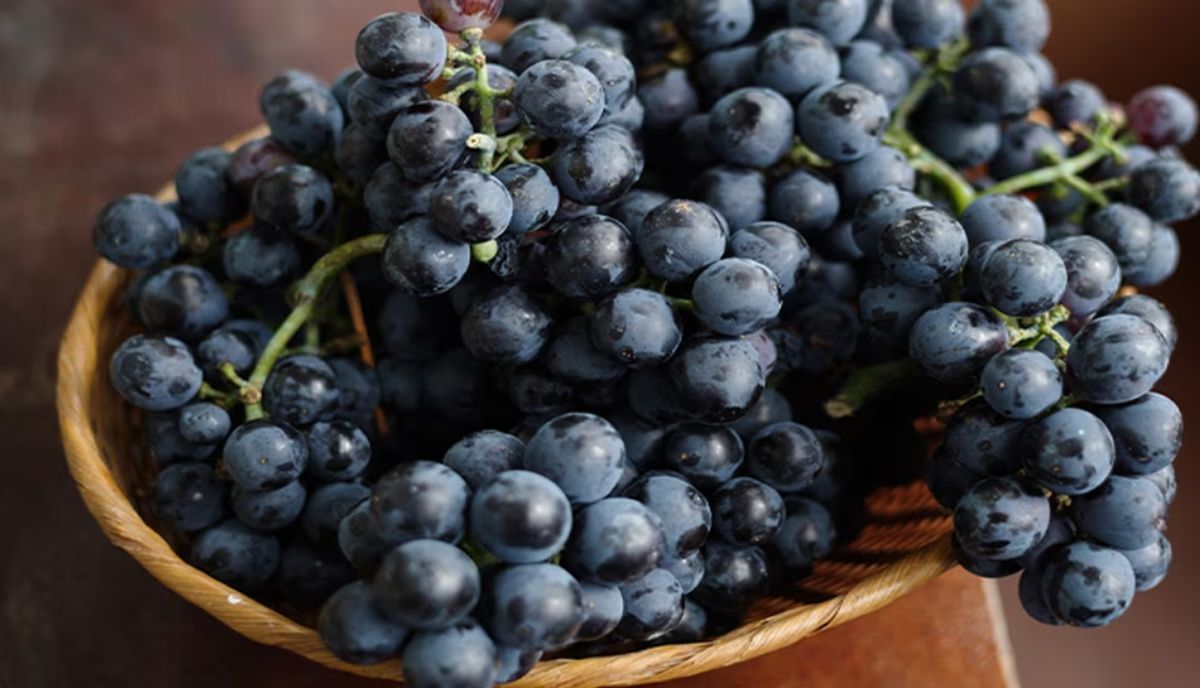 Black grapes reduce cholesterol, know more benefits
