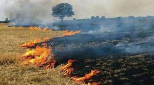 Punjab: किसान ने अमृतसर के अटारी गांव में आगजनी करता दिखा किसान, जागरूकता अभियान नहीं आया काम