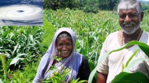 बंगाल की खाड़ी में उठा चक्रवात: बिहार के लाखों किसान खुश क्यों?