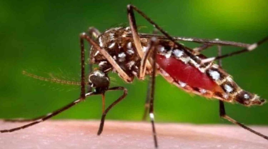 पिछले 24 घंटे में बिहार में रिकॉर्ड 3042 मरीज डेंगू से मिले