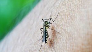 बिहार में डेंगू के 151 नए मरीज मिले, मरीजों की संख्या बढ़कर 6735