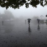 बारिश को लेकर IMD का बड़ा अपडेट, 18 जिलों में भारी बारिश की संभावना