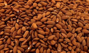 almonds benefits of hindi