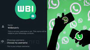 WhatsApp Username feature launching in whatsapp how to use details in hindi
