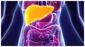 Fatty Liver: हार्ट अटैक का खतरा बन सकता है फैटी लिवर, जानें कैसे करें कंट्रोल