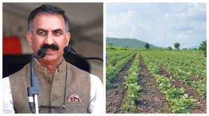 Agriculture news: HP govt will send 150 people to japan