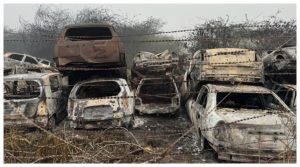 Delhi News:Fire breaks out in police training school, 200 vehicles and 250 bikes burnt to ashes in hindi