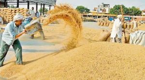 UP News: Payment of more than Rs 10145 crore to paddy farmers of UP, more than seven lakh farmers benefited.