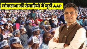 lok-sabha-election-2024-aam-aadmi-party-booth-level-plan-news-in-hindi