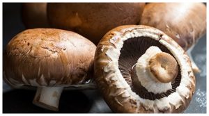 Mushroom Benefits In Winter in hindi