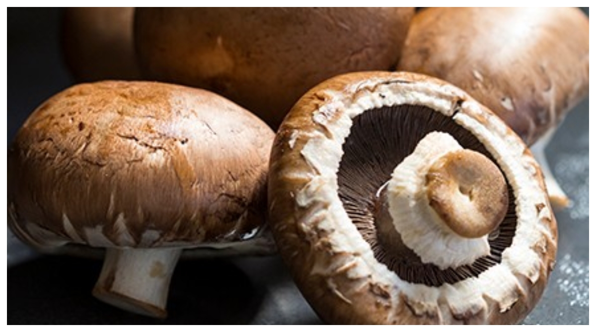 Photo of Powerfood:रोगों से रहना है मुक्त, तो करें इस सब्जी का सेवन