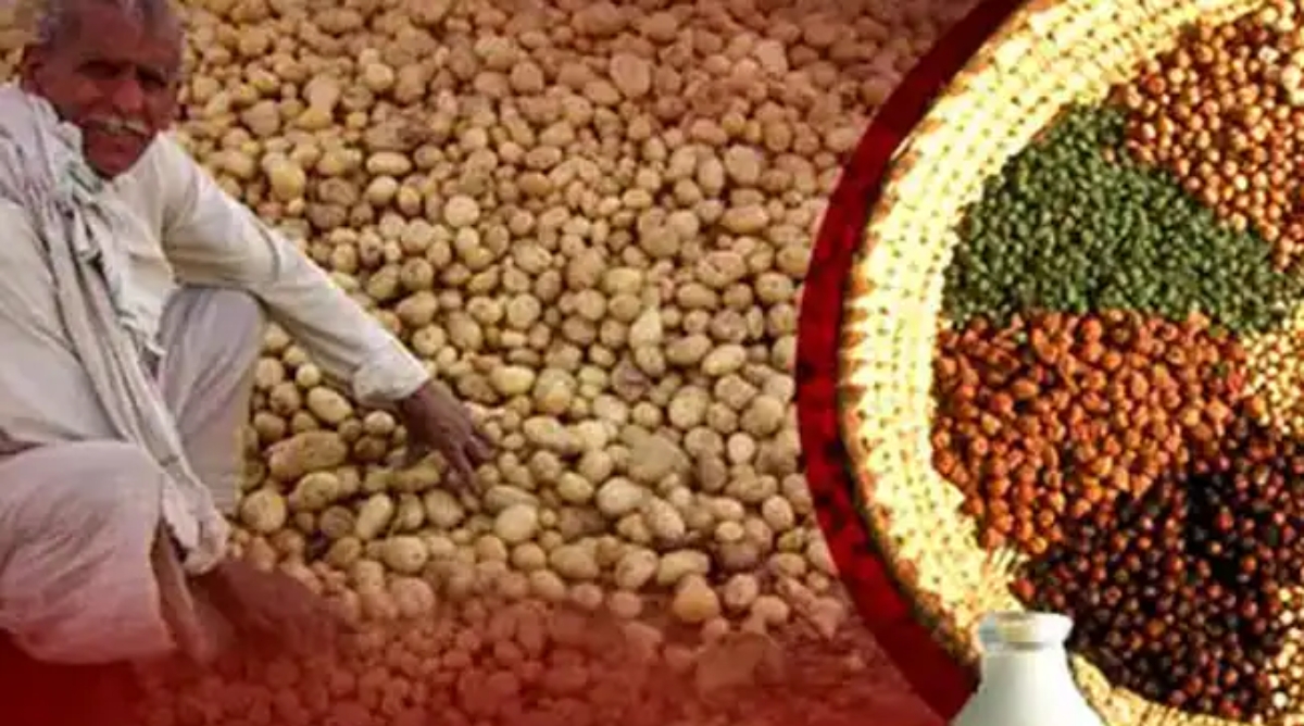 Photo of WPI Inflation : महंगाई से राहत नहीं, दिसंबर में थोक मुद्रास्फीति बढ़कर हुई 0.73 प्रतिशत