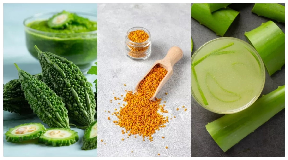 Photo of Healthy Bitter foods: सेहत के लिए वरदान हैं ये कड़वे फूड्स, फायदे जान कर हैरान हो जाएंगे आप!