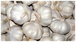 Garlic price Hike news in hindi