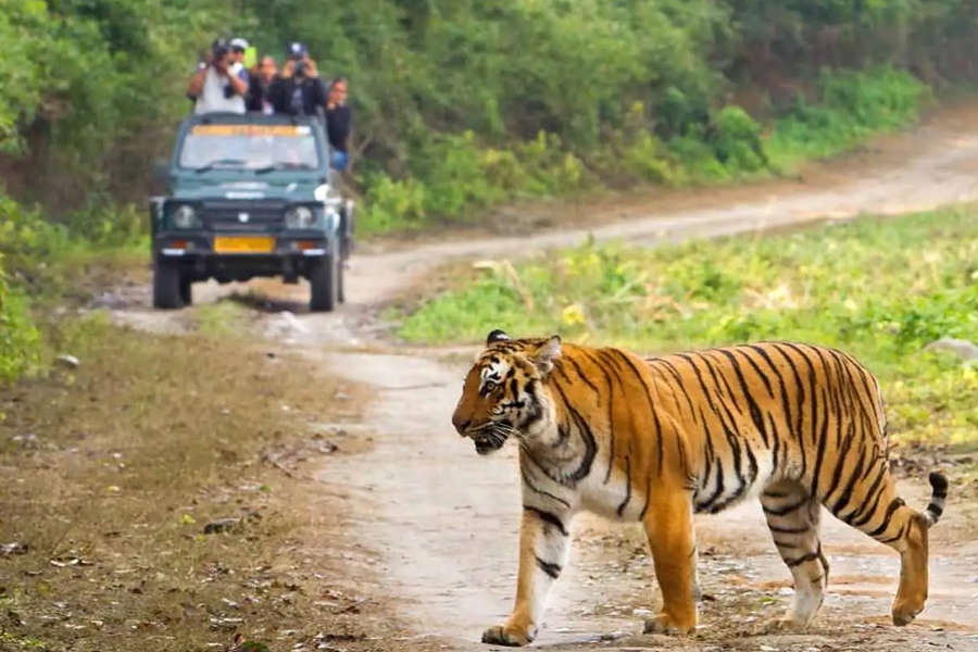 Jim Corbett National Park