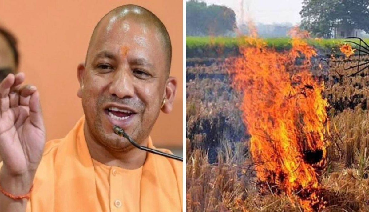 Photo of UP: पराली अब समस्या नहीं आमदनी का जरिया, प्रदेश में सौ सीबीजी प्लांट के साथ 17 लाख बायो डीकंपोजर बांटेगी सरकार