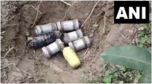 West Bengal: bag of bombs found in sagarpadra