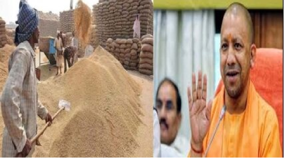 Photo of Paddy Purchase In Uttar Pradesh: योगी सरकार ने आठ लाख से अधिक धान किसानों को किया 11,745 करोड़ से अधिक का भुगतान