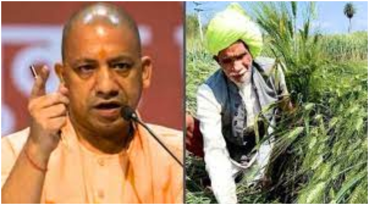 Photo of UP: CM Yogi ने किया ऐलान, बारिश में किसानों के हुए नुकसान का सरकार देगी मुआवजा