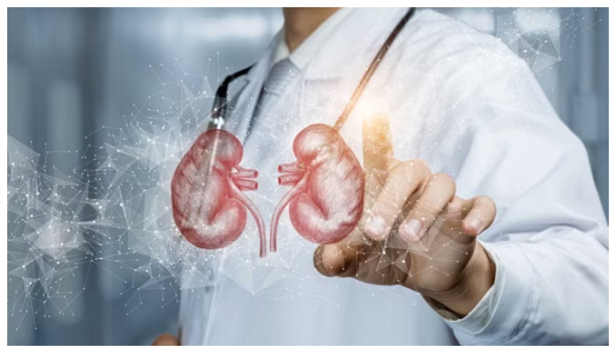 Photo of World Kidney Day 2024: युवाओं में क्यों बढ़ रही हैं किडनी की समस्याएं? कैसे करें देखभाल