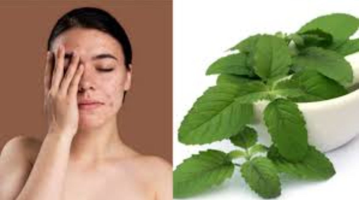 Photo of Tulsi Face Packs: चेहरे की खो गई है रंगत तो, तुलसी के पत्ते का ऐसे करें इस्तेमाल, 7 दिनों में ही निखर जाएगी त्वचा