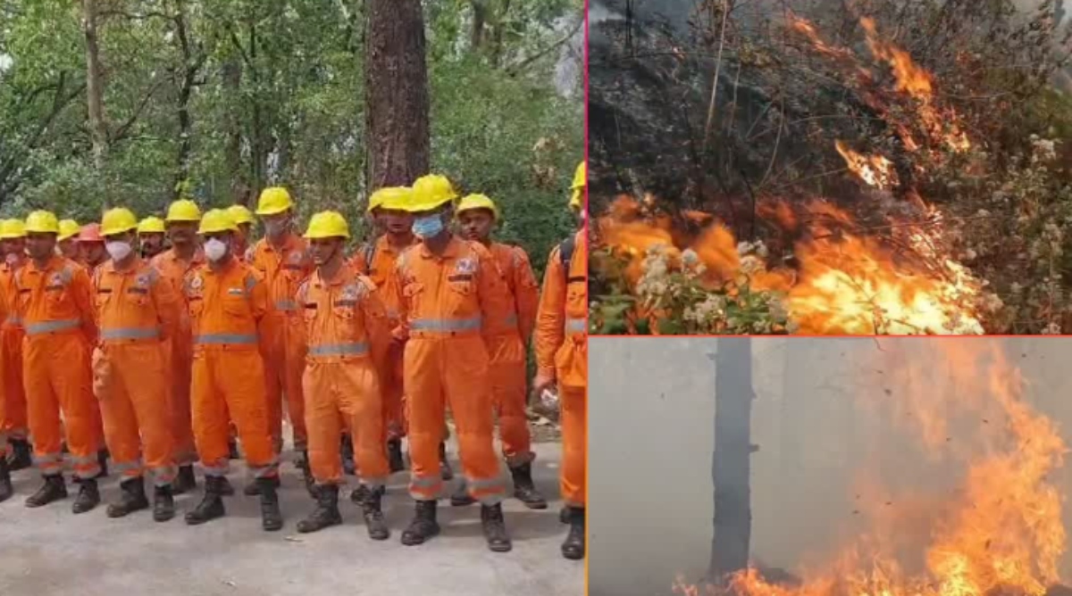 Photo of Uttarakhand: वनाग्नि की घटनाओं पर काबू पाने के लिए एनडीआरएफ की ली जा रही मदद