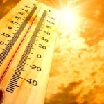 Deaths due to Heat Wave