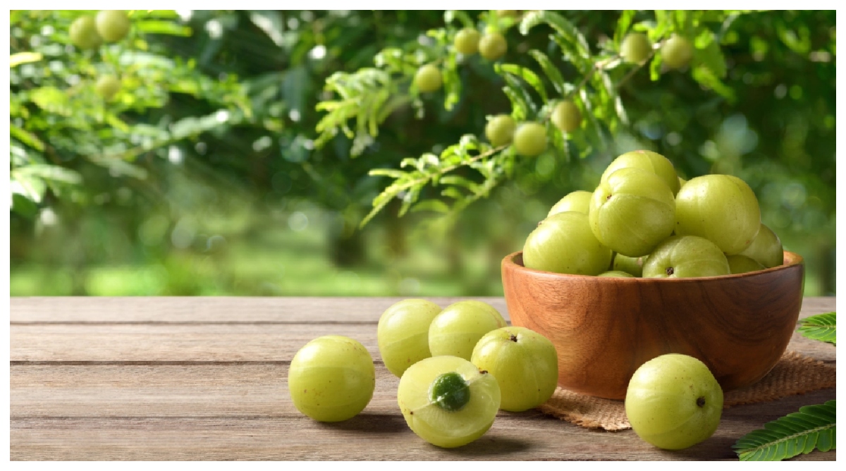 Photo of Benefits of Amla: इन बीमारियों में रामबाण है आंवला, रोज खाने से सेहत को मिलेंगे गजब के फायदे