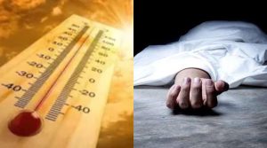 Deaths due to Heat Strokes