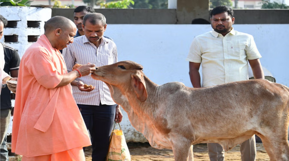 Photo of Gorakhpur: गोरखनाथ मंदिर की गोशाला में CM योगी ने की गोसेवा, गोवंश को खिलाया गुड़