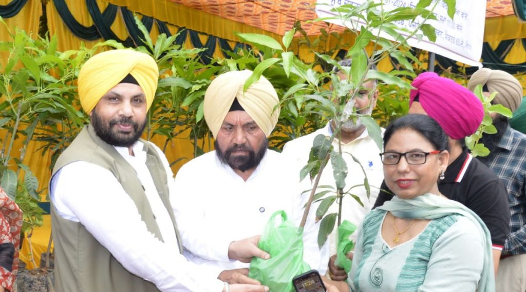 Initiative of green Punjab
