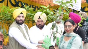 Initiative of green Punjab