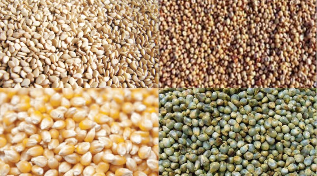 UP Government to Farmers