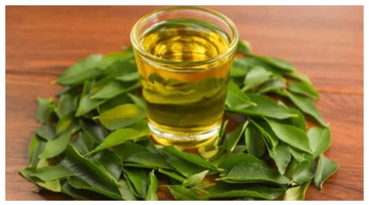 Photo of Curry Patta Tea Benefits: रोज सुबह करी पत्ता की चाय का करें सेवन, सेहत को मिलेंगे ये फायदे