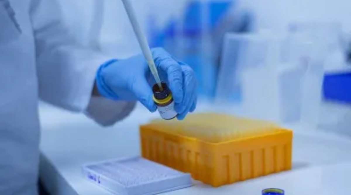 Fake Lab report