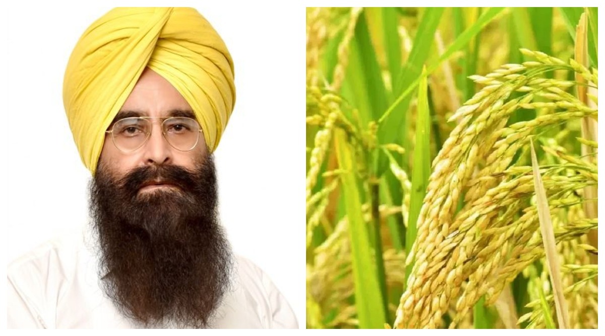 Photo of पंजाब में बासमती की फसल में 12.58 प्रतिशत की वृद्धि