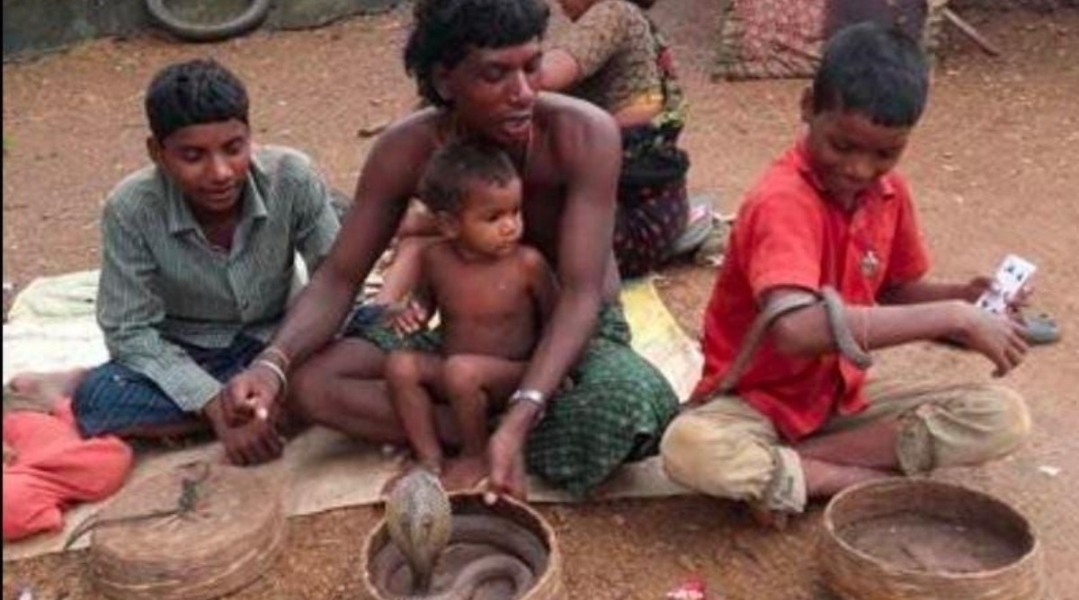 Photo of अजब-गजब : इस इलाके में दहेज में दिए जाते हैं सांप