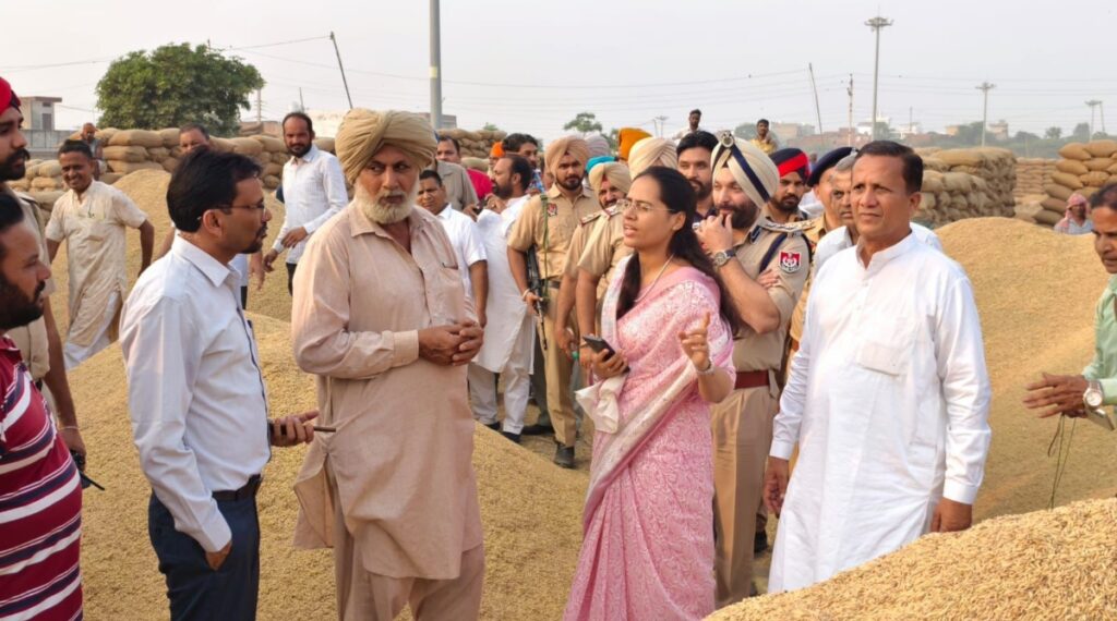 Inspection of grains market