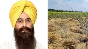 Stubble Management
