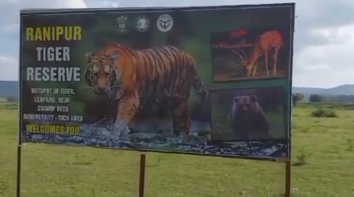 Photo of धर्म नगरी चित्रकूट आने वाले पर्यटक अब ले सकेंगे जंगल सफारी का भी मजा