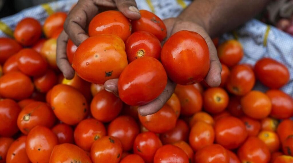 Tomato Price increase