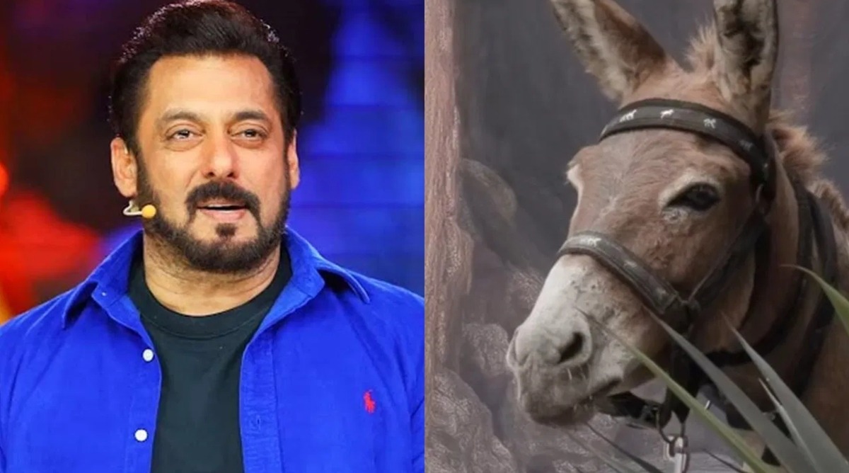 Photo of Weekend ka vaar में हुआ गधाराज की shocking exit !