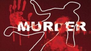 Murder Case