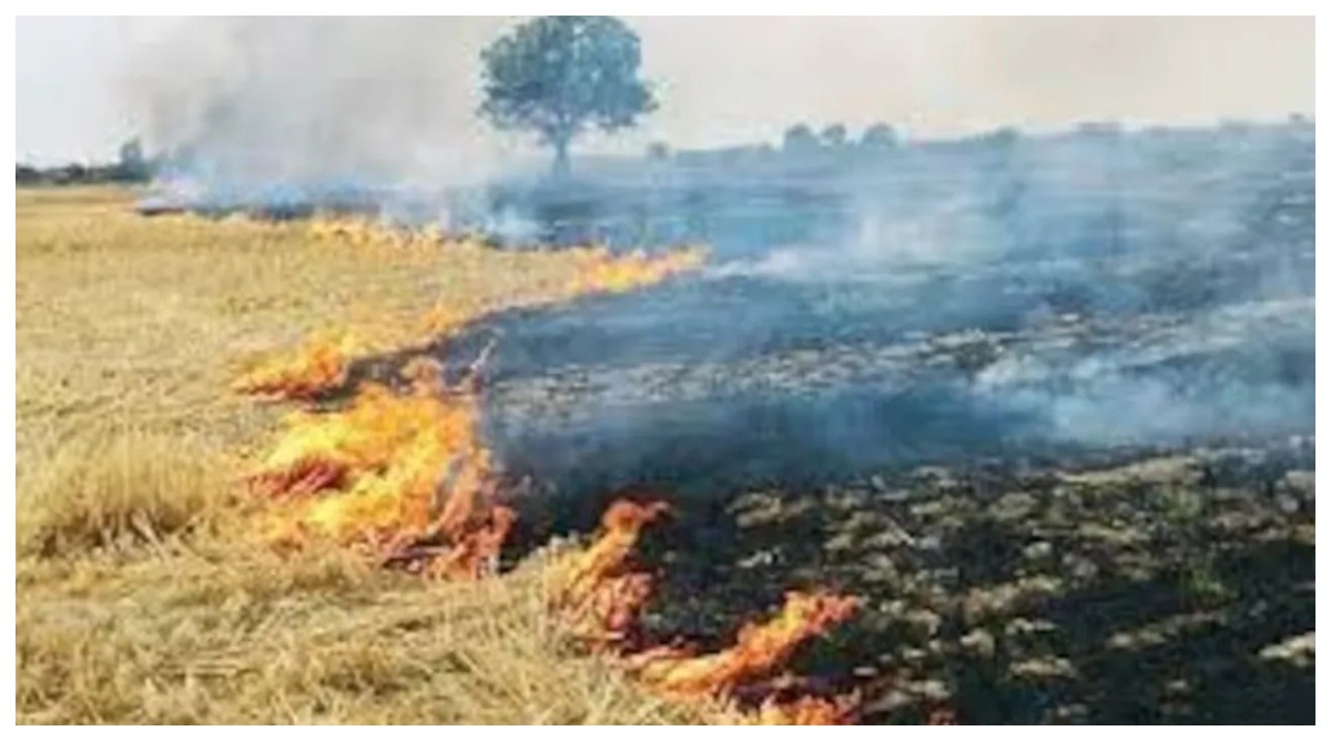 Photo of केंद्र सरकार का फैसला – पराली जलाने पर अब देना होगा दोगुना जुर्माना