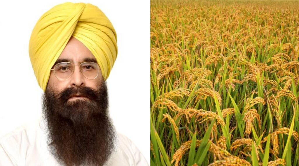 Increment in Paddy yield