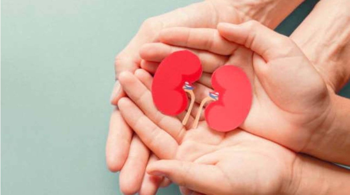 Photo of Organ Donate : वो दुनिया छोड़ते-छोड़ते भी लोगों को नई जिंदगी दे गई, भावुक कर देगी इंदौर की यह घटना
